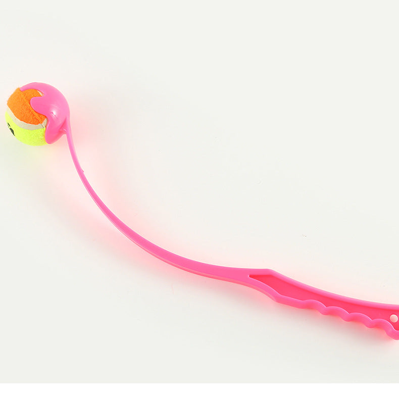 Outdoor Pet Throwing Toy